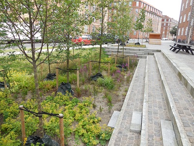 Tsinge plads foto 10