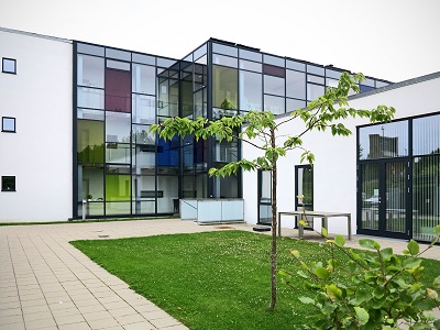 bleblomsten foto 3