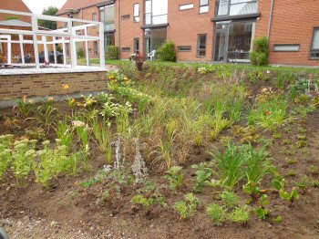ldrecenter i Middelfart, foto 3