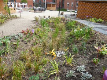 ldrecenter i Middelfart, foto 4