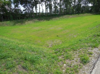 Bassin og fodboldbane