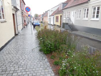 Afkobling af vejvand i Sndergade, Middelfart, foto 10