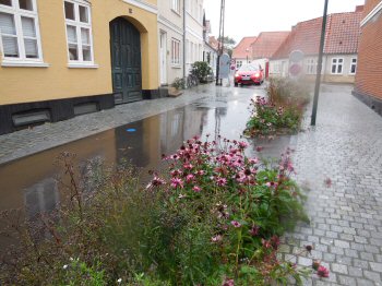 Afkobling af vejvand i Sndergade, Middelfart, foto 12