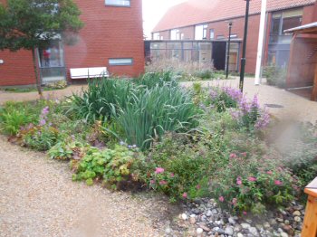 ldrecentre i Middelfart, foto 9