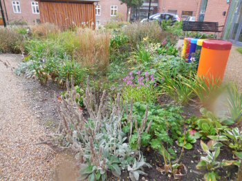 ldrecentre i Middelfart, foto 11