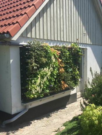 Nddehegnet, Gladsaxe 1