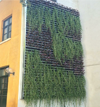 rhus Katedralskole