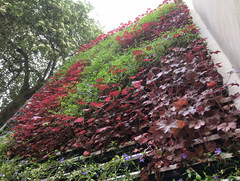 rhus Katedralskole 1