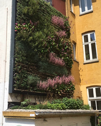 Mejlgade, Aarhus 1