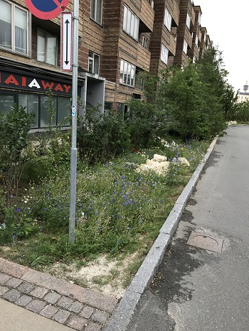 Bryggervangen_foto 4
