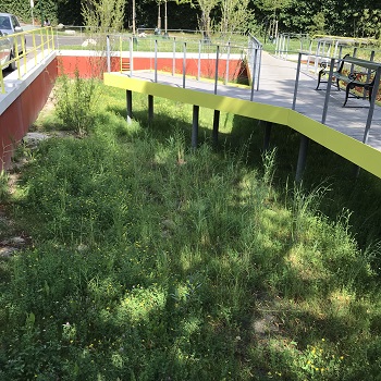 Scandiagade, foto 2