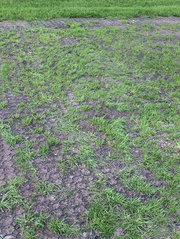Silkeborg2, Foto 2