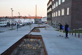 Vejbede i Viborg_foto 1