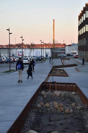 Vejbede i Viborg_foto 5