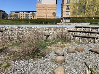 Kilen_Foto 1