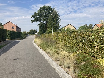 Gedvad, foto 1