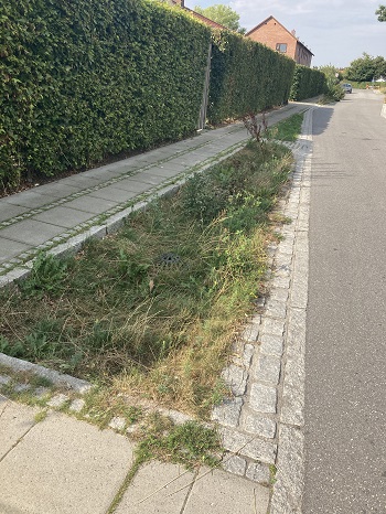 Gedvad, foto 3