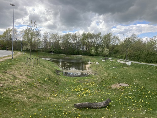 Risvangen, forside