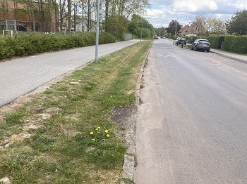 Risvangen, foto 2