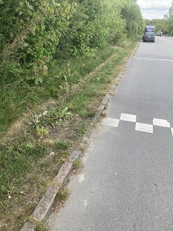 Risvangen, foto 6